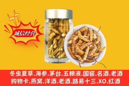 临沂临沭县回收散虫草