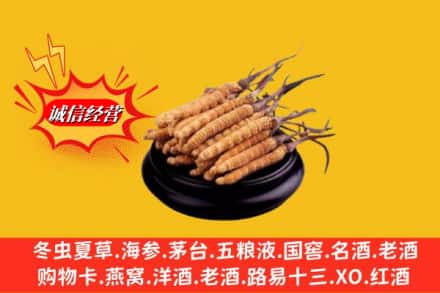 临沂临沭县求购回收虫草多少钱每克